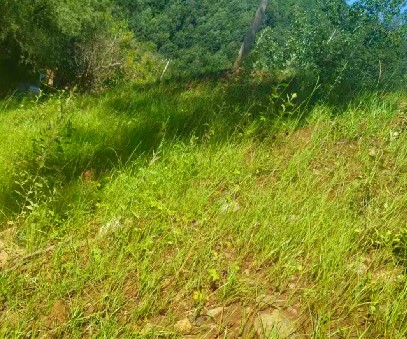 柳關(guān)欒盧鉛鋅礦|治理排土“瘡疤”，繪就綠色畫卷
